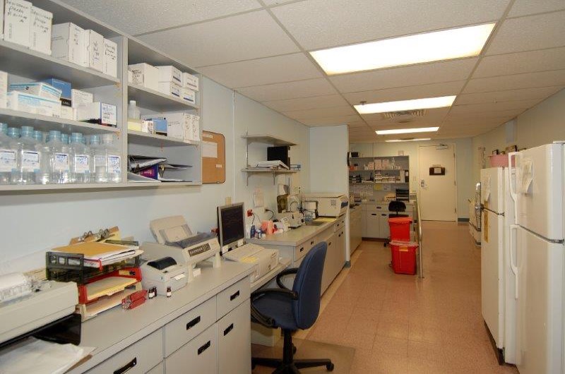 Lab